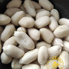 Pukeeraw Blanched Peanut Kernelsvirginiaquality Assurancechina