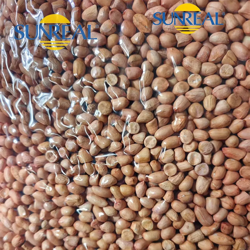Núcleos de maní crudo/hsuji/embalaje fino/multipropósito/buen precio/todo tamaño