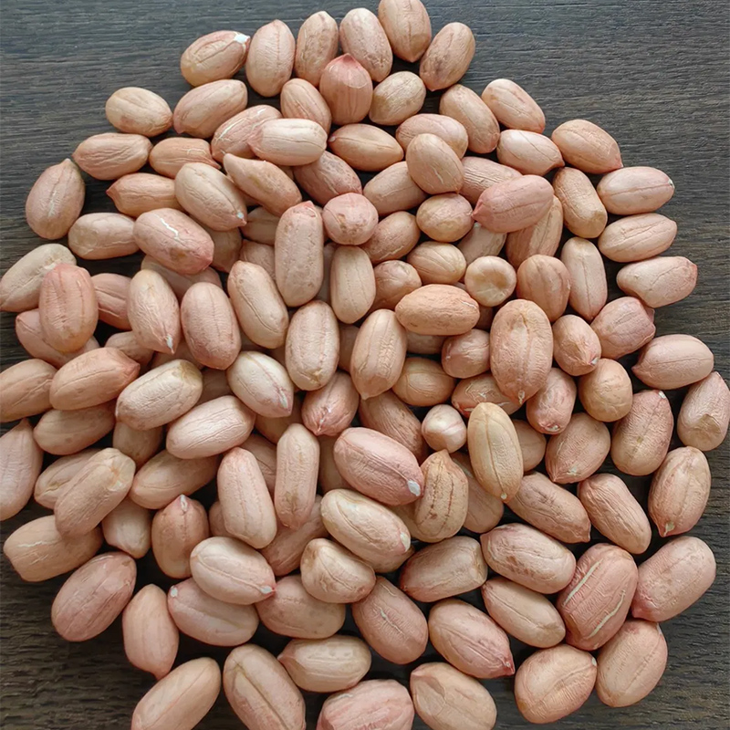 Naternos de maní crudo con piel/Virginia Tipo/tamaño 24/26