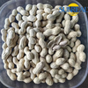 Virginia Peanuts /Peanut crudo en Shell /China /Haihua /Nuevo cultivo