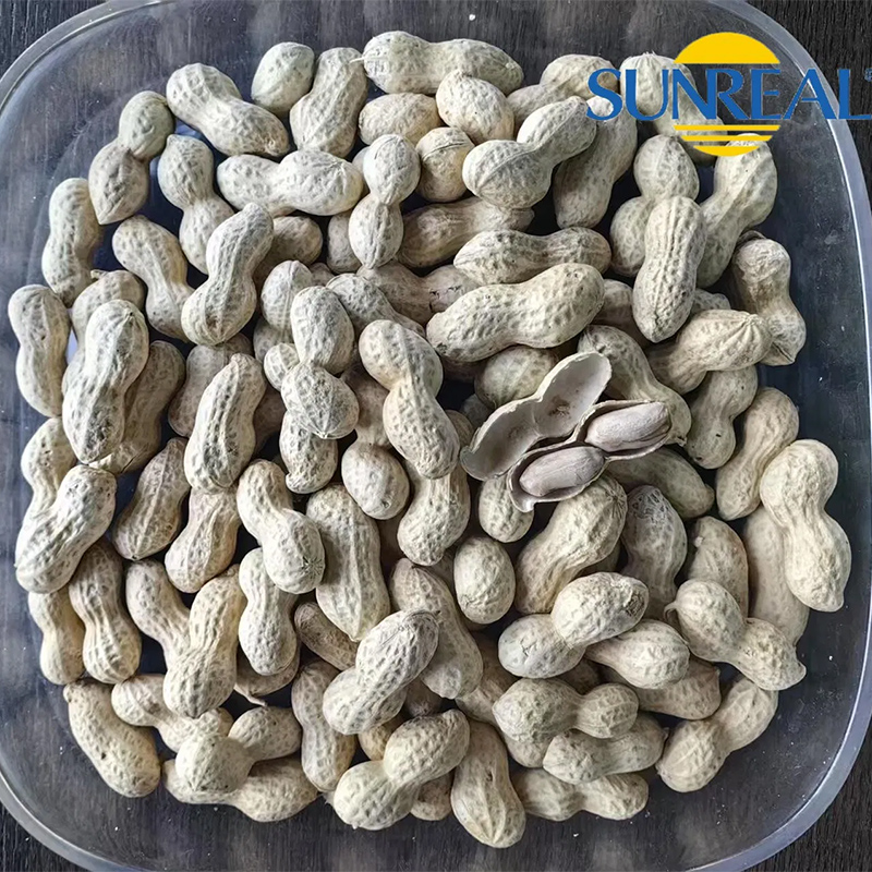 Virginia Peanuts /Peanut crudo en Shell /China /Haihua /Nuevo cultivo