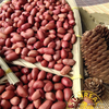 Granes de maní asados ​​con piel/piel roja/crujiente y fresco/fino empaque