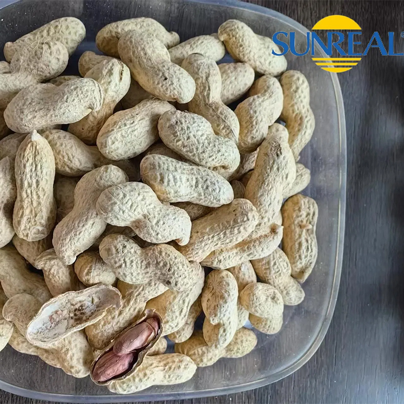 Virginia Peanuts /Peanut crudo en Shell /China /Haihua /Nuevo cultivo