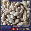 Virginia Peanuts /Peanut crudo en Shell /China /Haihua /Nuevo cultivo