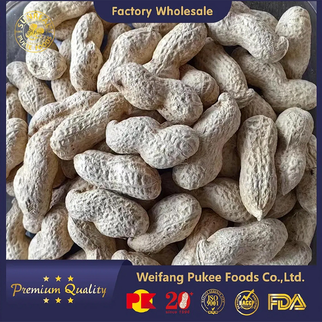Virginia Peanuts /Peanut crudo en Shell /China /Haihua /Nuevo cultivo