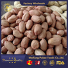 Naternos de maní crudo con piel/Virginia Tipo/tamaño 24/26
