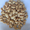 Nuevos núcleos de maní frito/salado y picante y sabroso