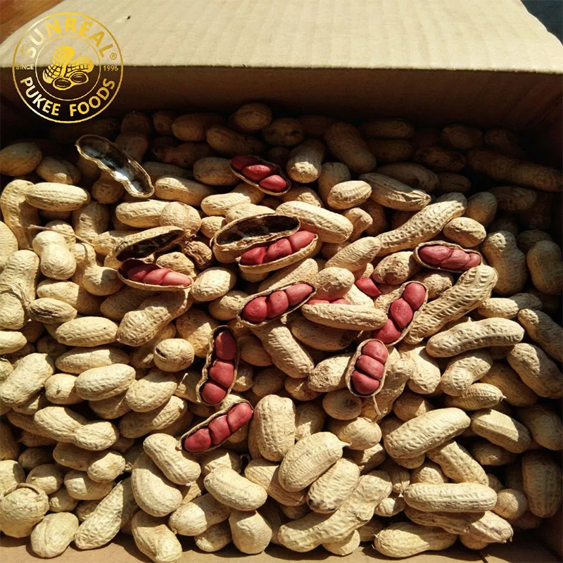 Piel roja/maní en concha/Sunreal/buen sabor de China