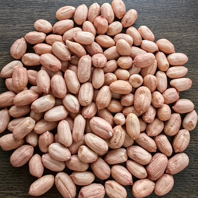 Naternos de maní crudo con piel/Virginia Tipo/tamaño 24/26