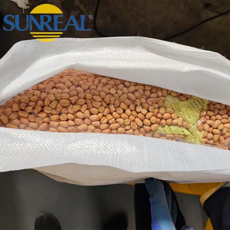 Núcleos de maní crudo/hsuji/embalaje fino/multipropósito/buen precio/todo tamaño