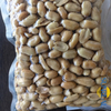 Nuevos núcleos de maní frito/salado y picante y sabroso