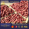 Granes de maní asados ​​con piel/piel roja/crujiente y fresco/fino empaque