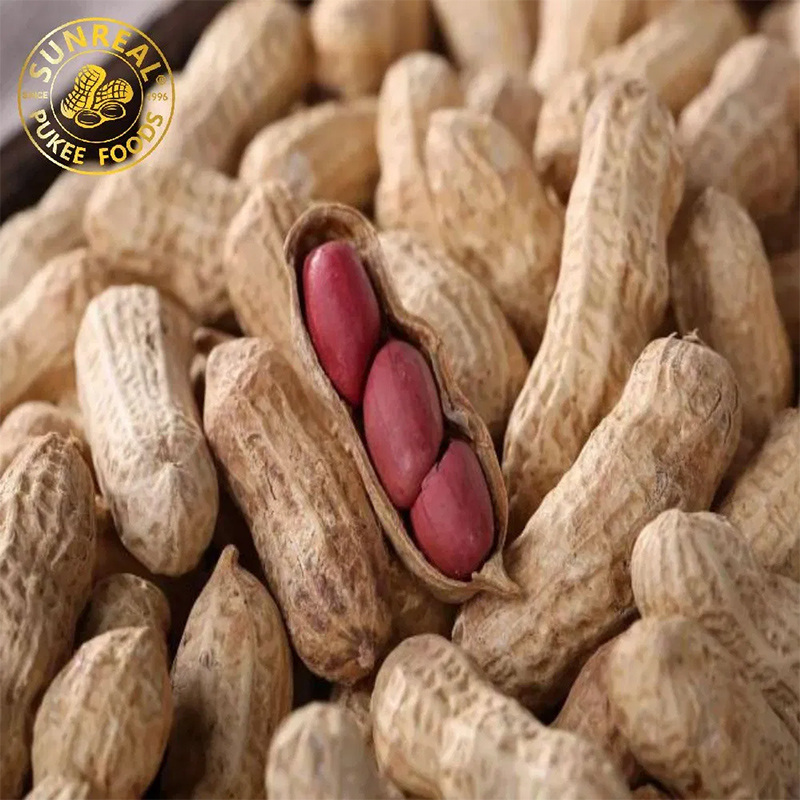 Piel roja/maní en concha/Sunreal/buen sabor de China