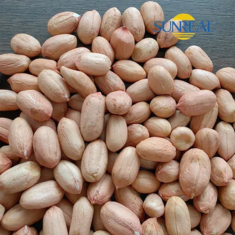 Naternos de maní crudo con piel/Virginia Tipo/tamaño 24/26