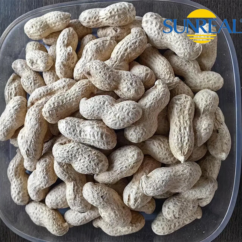 Virginia Peanuts /Peanut crudo en Shell /China /Haihua /Nuevo cultivo